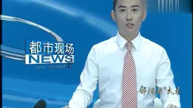 《今日网事》人气爆棚之断桥成人桥