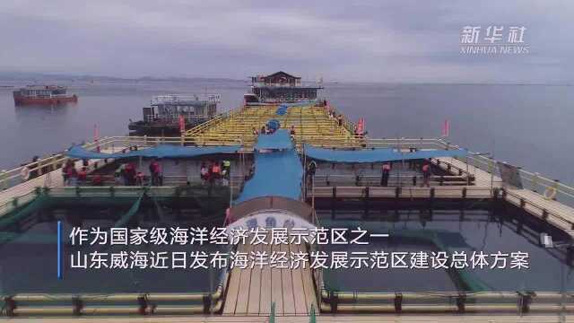 山东荣成:国家级海洋经济发展示范区主战场