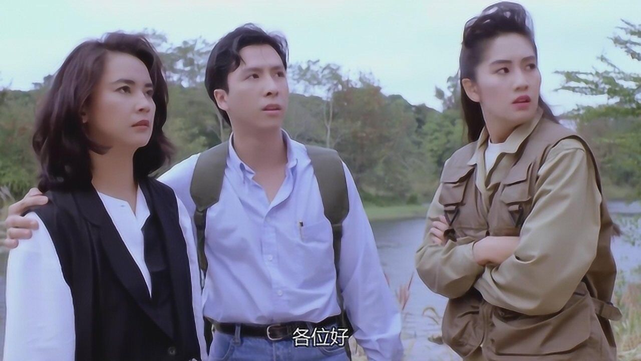 甄子丹,胡慧中,吴家丽,卢惠光主演,功夫动作猛片《怒火威龙》_电影