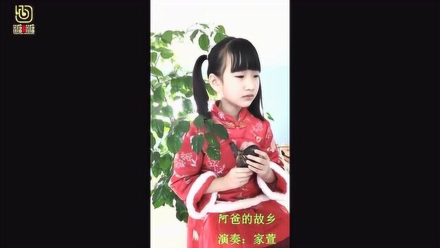 糖糖音乐家学员家萱宝贝陶笛演奏《阿爸的故乡》