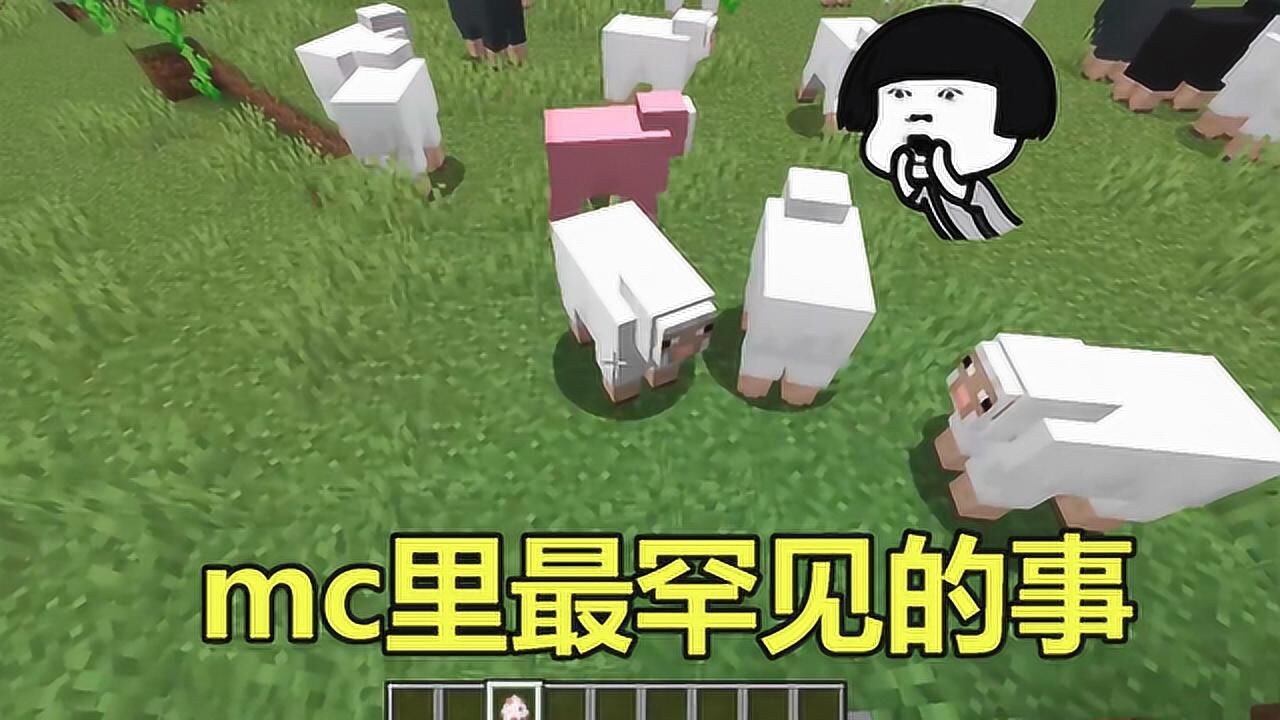 小香老师解说《MineCraft》_小香老师解说《MineCraft》_我的世界：mc里出现概率最小的3个事件，粉红羊你见过吗？_高清 ...