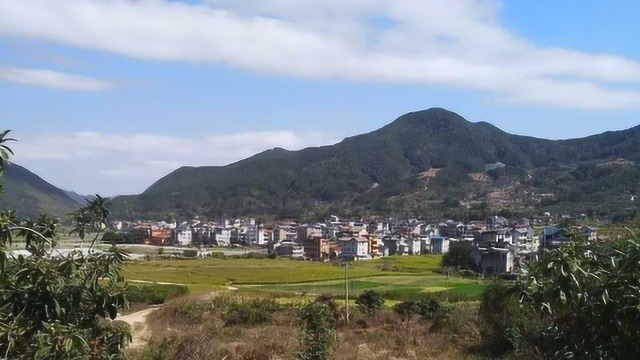 福清市东张镇华石村附近(瑞峰寺)了解一下