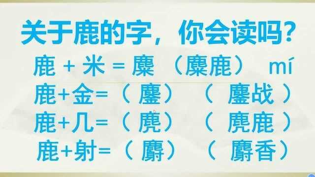 这几个字经常见,却不知道读音?今天给大家普及几个关于鹿的字的读音.