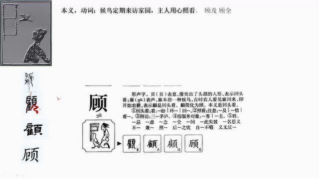 舒阳同学聊汉字68顾