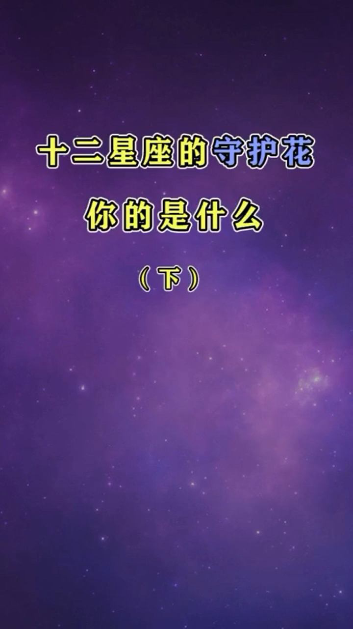十二星座的守护花