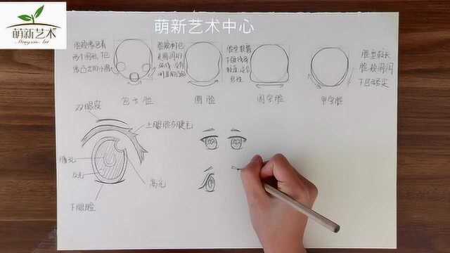 「0基础」Q版动漫人物 第一节 《Q版人物五官》