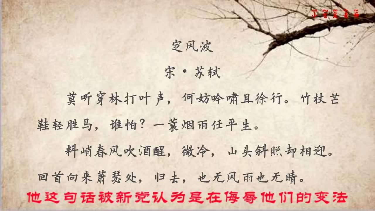 每日一诗苏轼定风波莫听穿林打叶声