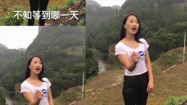 云贵山歌:山上山花开,人人都喜爱,好听极了媲美歌手