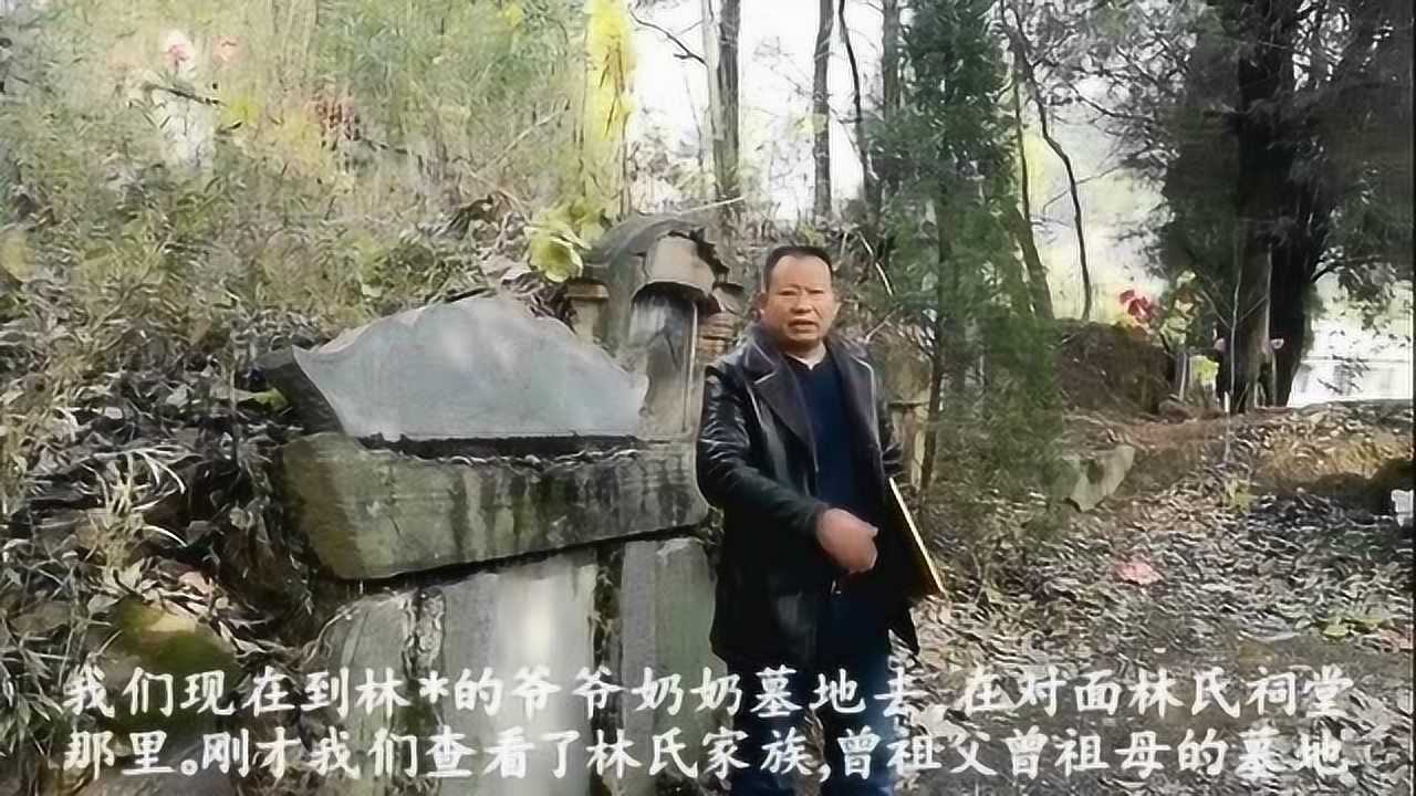 风水宝地葬在虎爪上，青龙架案，风水大师张少波考察林帅家祖坟风水视频高清1080p在线观看平台腾讯视频 5670