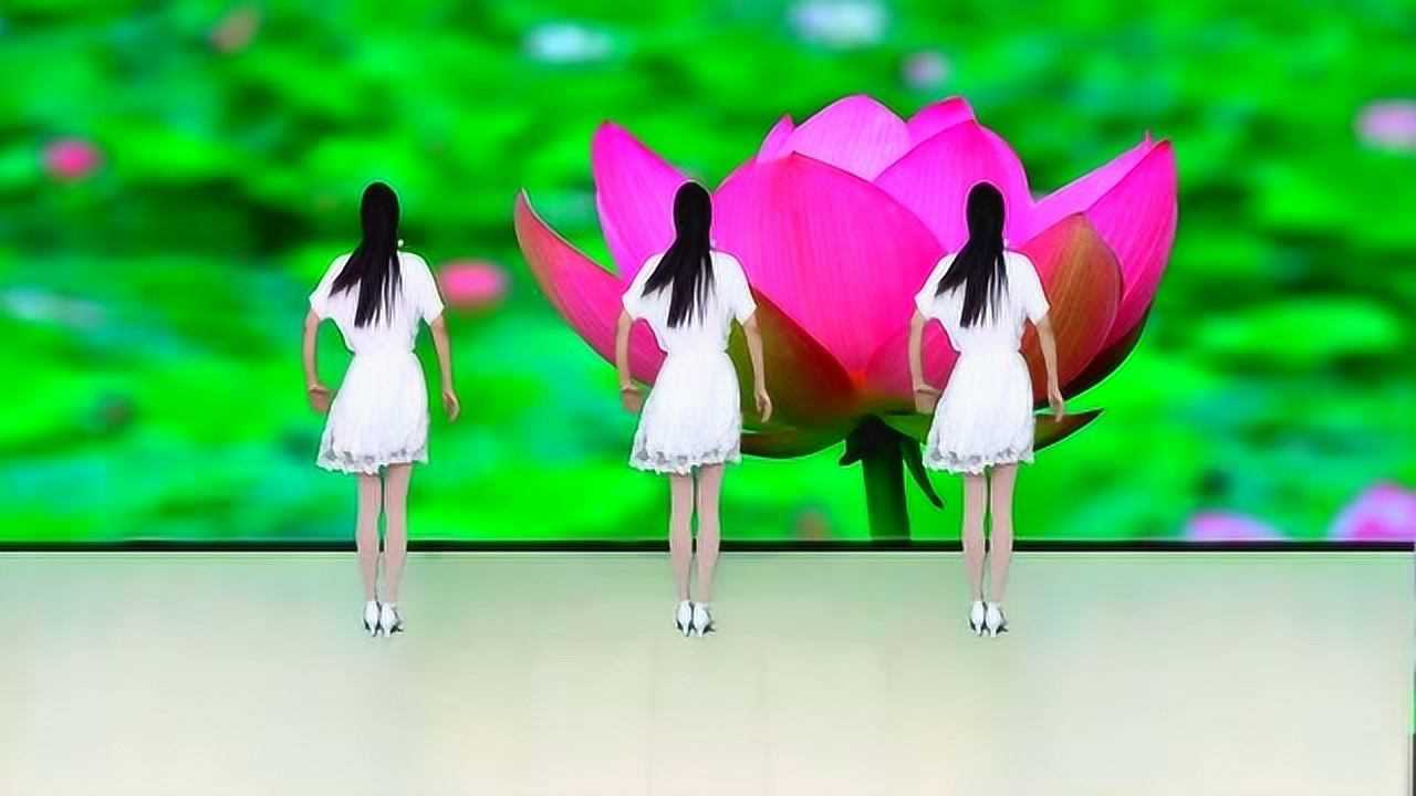 广场舞欣赏酒醉的蝴蝶醉美32步