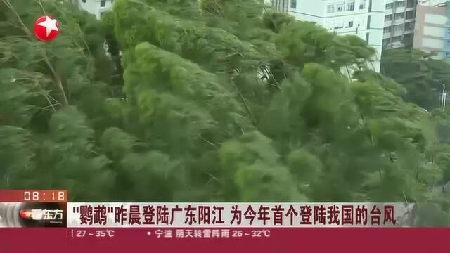 “鹦鹉”昨晨登陆广东阳江 为今年首个登陆我国的台风