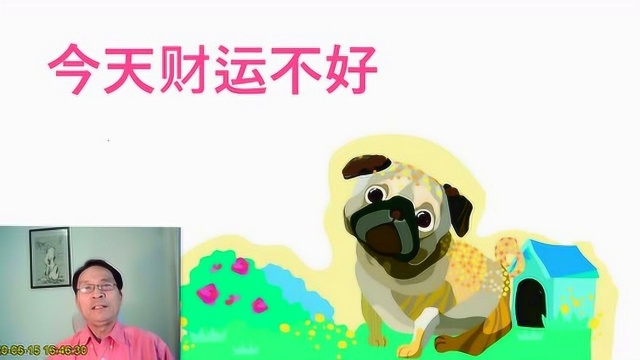 生肖狗,今天财运不好