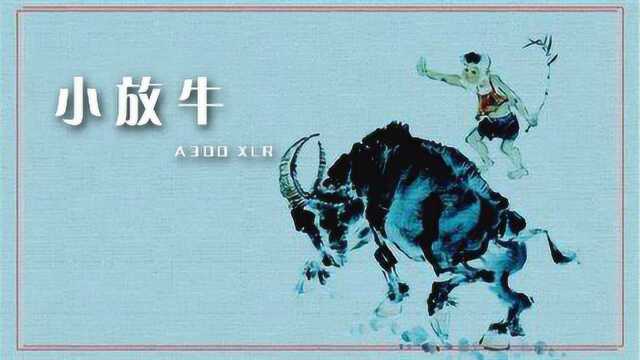 享声A300高清录音:一曲河北地区民间小调——《小放牛》