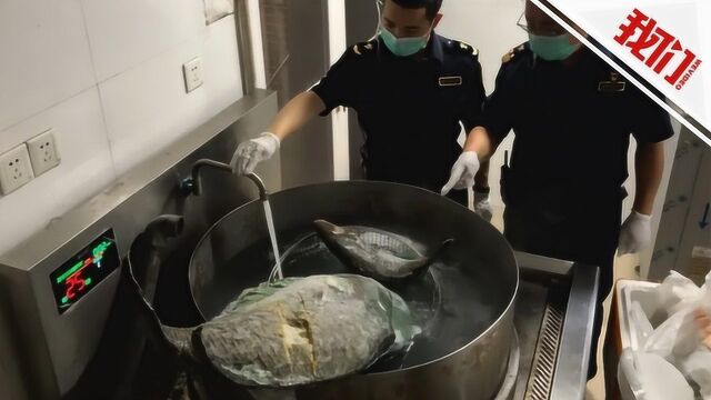 厦门海关拦截370公斤非法进境冰鲜水产品 高温蒸煮全部销毁