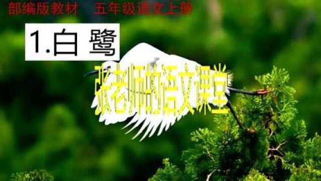 五年级上《白鹭》,这篇课文可以分为哪三个部分,请你来划分