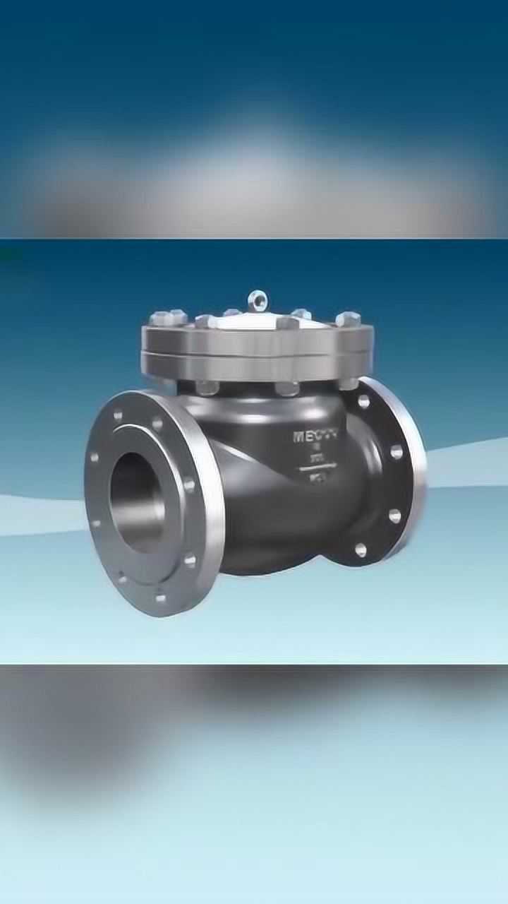 止流阀原理,再碰见这样的问题,别再傻傻看不明白!