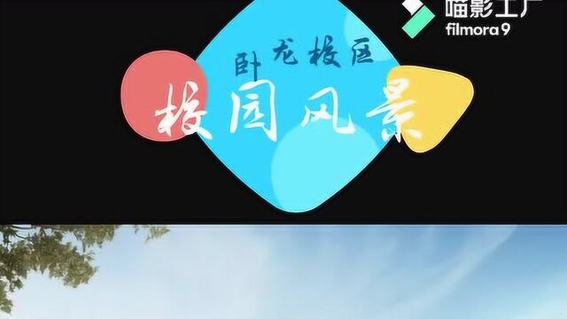 《星星在这里闪耀,人生在这里成长》杨俊伟