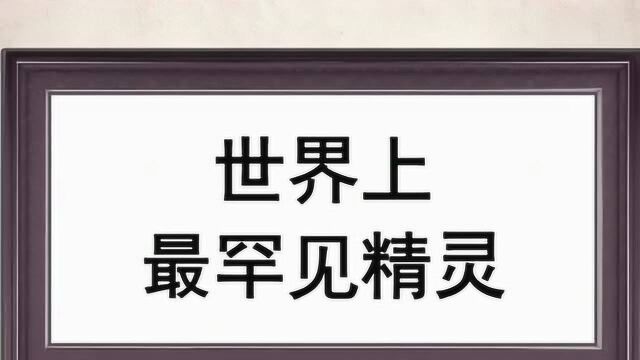 世界上最罕见的精灵,这些精灵你喜欢哪一个呢?一起来看看吧.