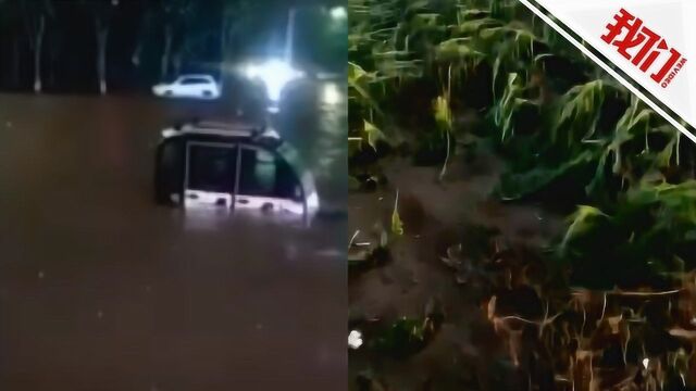 吉林榆树遭大风暴雨冰雹袭击 城区水流成河大量庄稼被砸倒