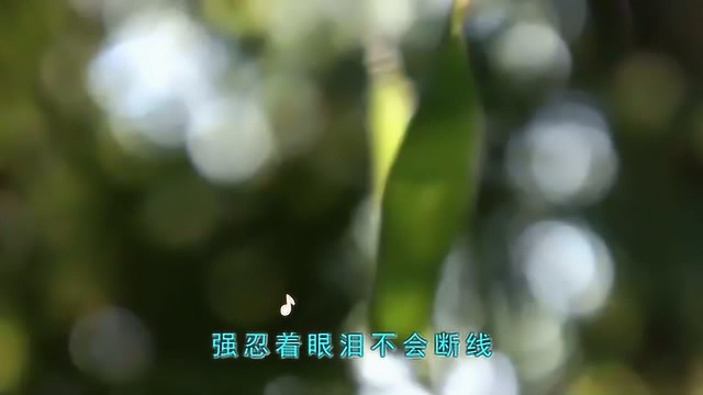 飞飞:抖音超好听动感歌曲《 不配怀念 (DJ版)》百听不腻