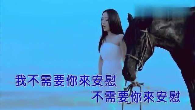 杨钰莹《我不需要你的安慰》