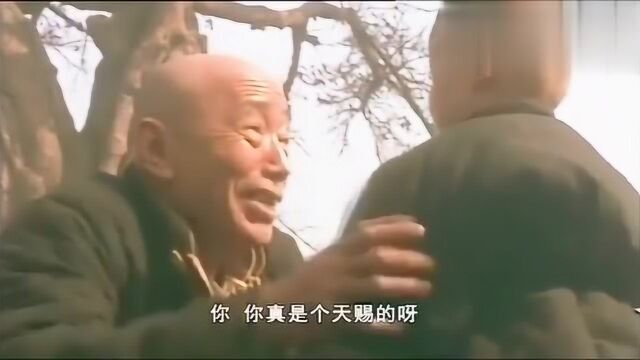 乱世人不如一只太平犬!