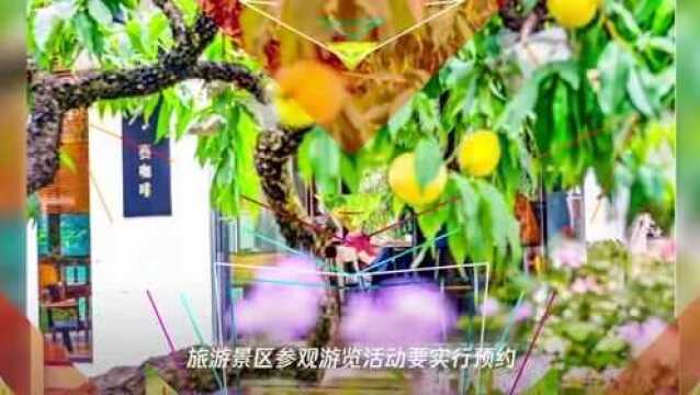 跨省团队游172天后开启!国内游重新拥抱“诗和远方”