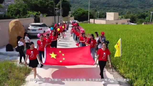 阳江市乡村振兴大擂台村庄展播 | 阳东区东平镇瓦北村