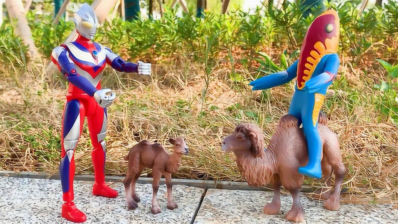 迪迦奥特曼在公园打跑欺负骆驼的怪兽梅特龙_高清1080