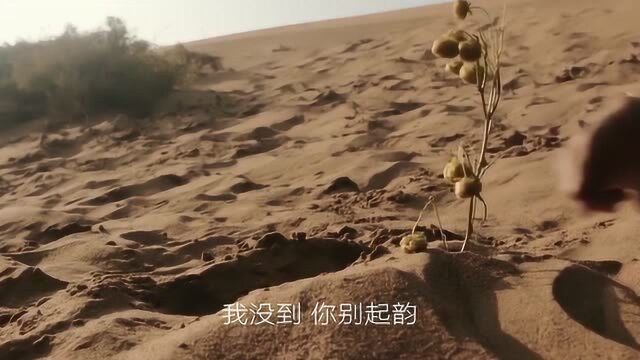 最近爆火的男神,张东升向你发出爬山邀约