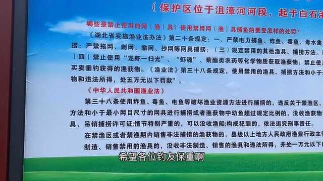 有些地方禁止钓鱼一钩一线也不行 看官方宣传栏 禁止钓鱼 罚款没收渔具