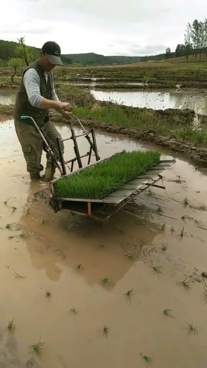 手动插秧机,提高效率
