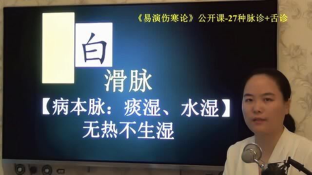 29脉舌辨滑脉主湿易演伤寒论公开课