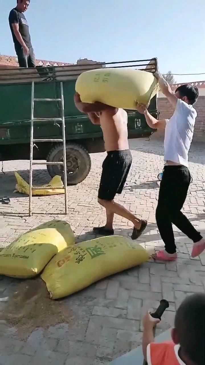 那么重的袋子扛起来,还要爬梯子才能装上车,真是太费劲了