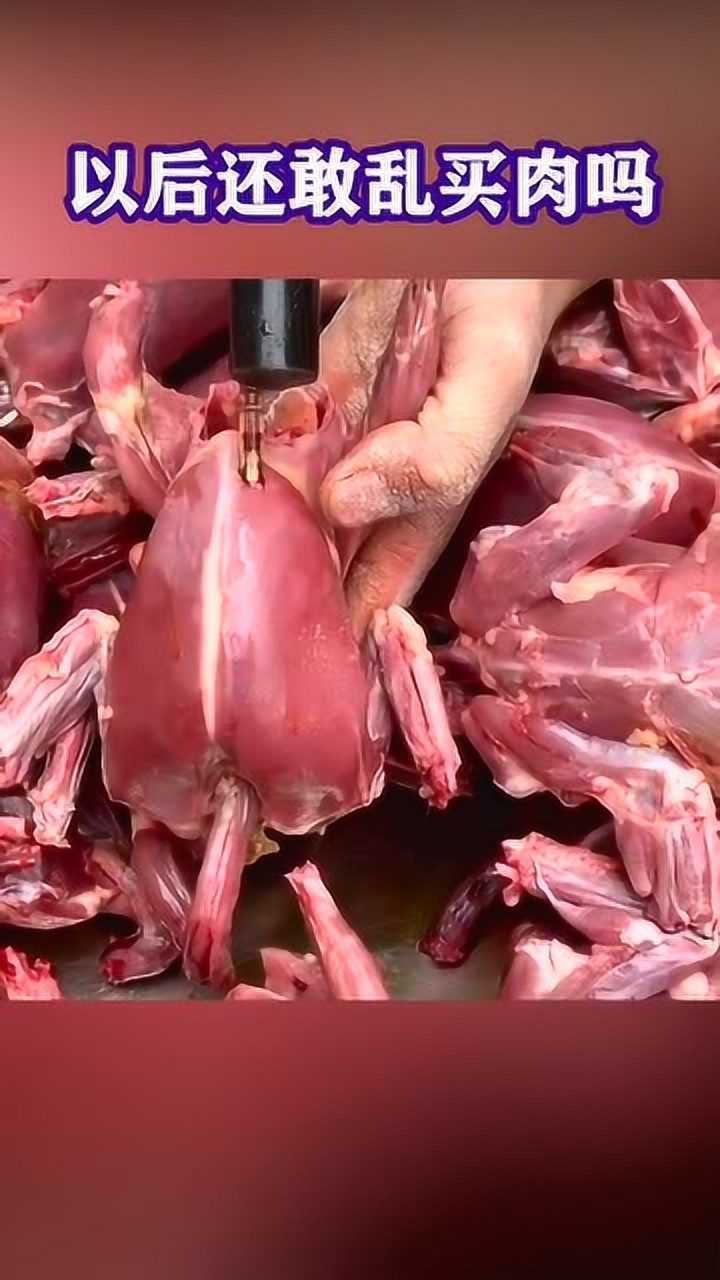 农贸市场注水鸡看完你还敢吃吗无良奸商太可恶了