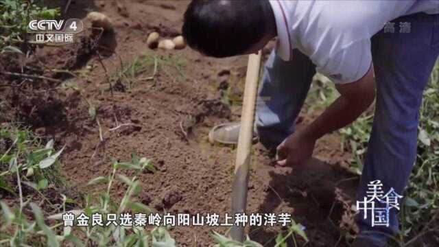 不起眼的小土豆却做出了最甜的洋芋糍粑|美食中国