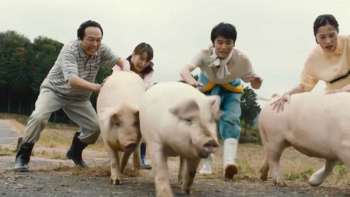 全球大停电2年，日本一家四口荒野求生，饿得只能偷猪吃