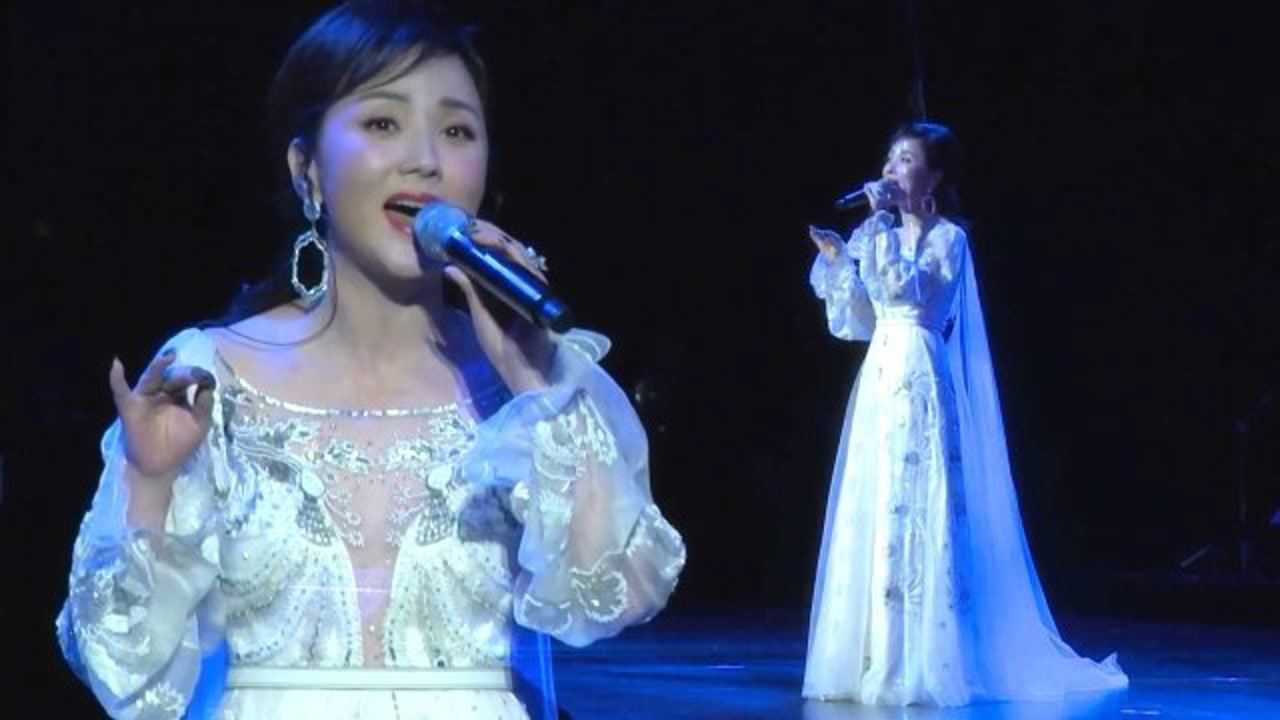 歌唱家张燕现场演唱天涯歌女欢天喜地