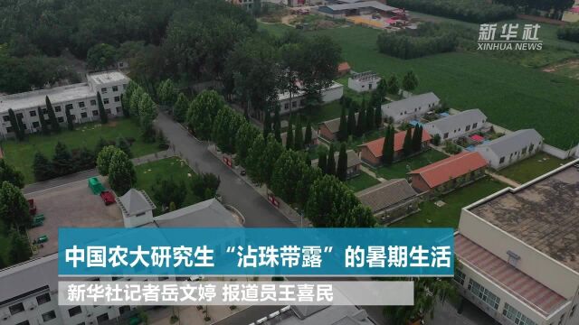 中国农大研究生“沾珠带露”的暑期生活