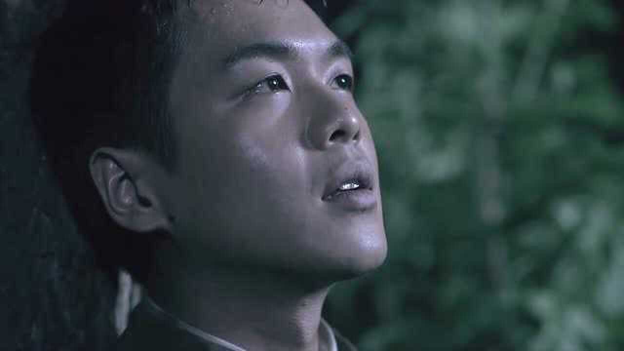 雪豹坚强岁月看到周卫国半死不活的样子徐虎说方营长牺牲了