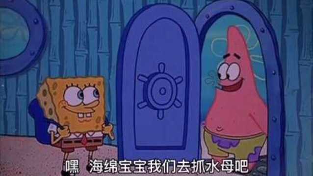 你不在的时候我在等你回来