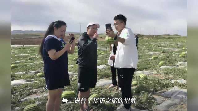 华润万家消费助农频出招 产地直播掀起中卫硒砂瓜热潮