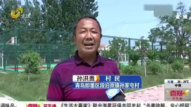 无花果开出“致富花” 青岛最大无花果种植基地 带领当地村民脱贫