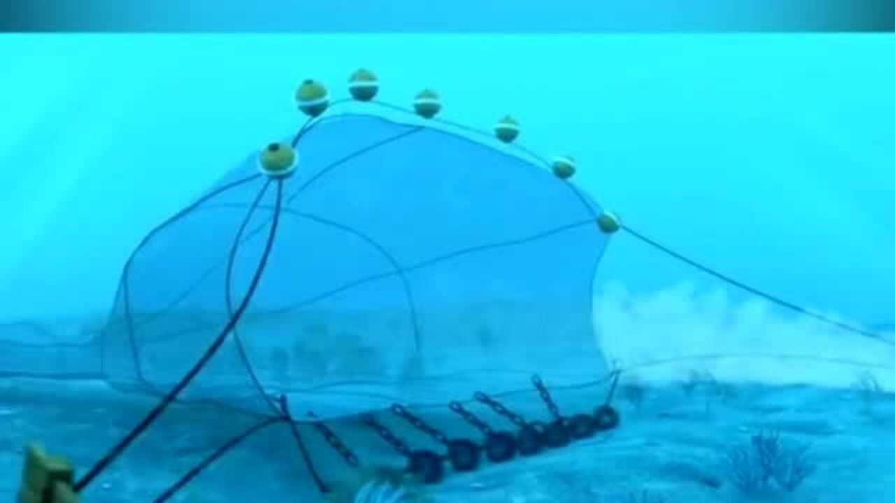 你见过渔船后面的拖网吗?你知道底拖网的原理吗?看过来给你讲一下