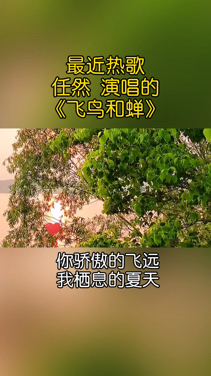 近日热歌飞鸟和蝉任然演唱