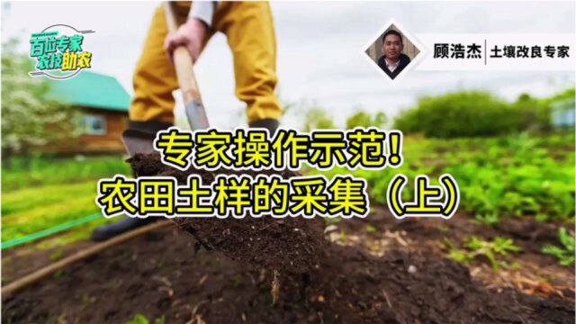 如何进行有效的土壤采集?专家操作示范~