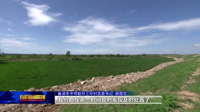 合肥高新区发布营商环境“领跑计划”