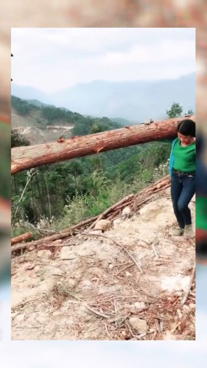 美女真厉害,自己扛起一根木头_腾讯视频