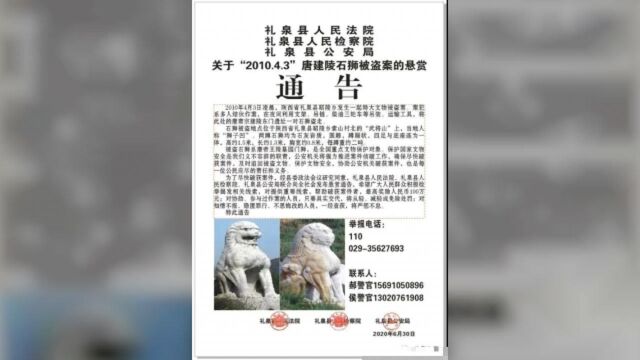 一对唐建陵石狮十年前被盗,当地悬赏100万征线索