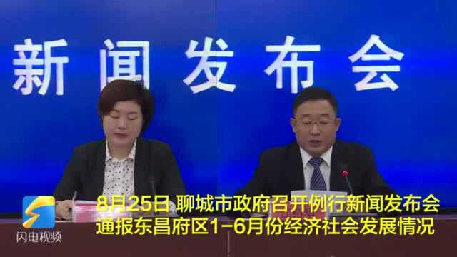 聊城东昌府区16月份财政收入、税收收入总量全市第一